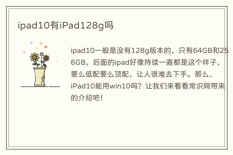 ipad10有iPad128g吗